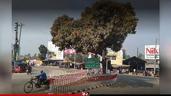 মিনিবাস-ইজিবাইকের সংঘর্ষে একই পরিবারের ৪ জন নিহত