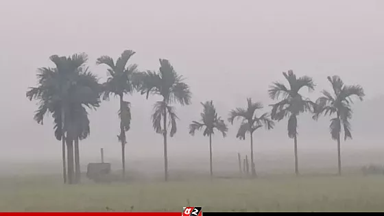 উত্তরবঙ্গে জেঁকে বসছে শীত, তাপমাত্রা নেমেছে ১২ ডিগ্রির ঘরে