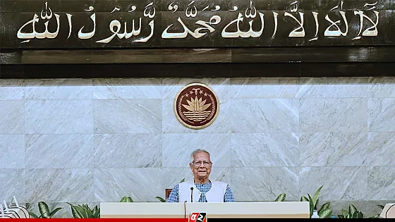 উপদেষ্টা পরিষদে গণভোট অধ্যাদেশ অনুমোদন