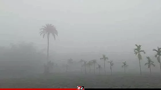 হিমেল ছোঁয়ায় কাঁপছে তেঁতুলিয়া, পারদ নেমেছে ১৩ ডিগ্রিতে