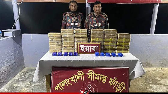 বিজিবির অভিযানে ৩ লাখ ৬০ হাজার ইয়াবা উদ্ধার