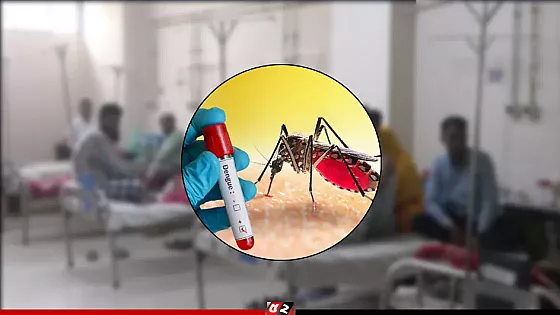 ডেঙ্গুতে আরও ৭ জনের মৃত্যু