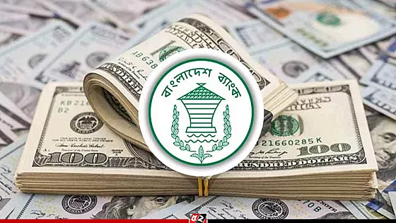 দেশে বৈদেশিক মুদ্রার রিজার্ভ জানালো কেন্দ্রীয় ব্যাংক