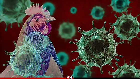 কোভিডের চেয়েও ভয়াবহ মহামারির আশঙ্কা, বিশেষজ্ঞদের নতুন সতর্কবার্তা