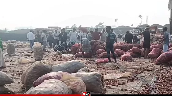 বাংলাদেশে রপ্তানি বন্ধ, ভারতের সীমান্তে পচছে ৩০ হাজার টন পেঁয়াজ