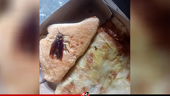 পেটিসে তেলাপোকা, বেকারিকে ১ লাখ টাকা জরিমানা