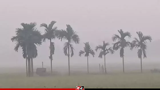 তীব্র শীতে কাপছে তেঁতুলিয়া, তাপমাত্রা নামলো ১১ ডিগ্রিতে   