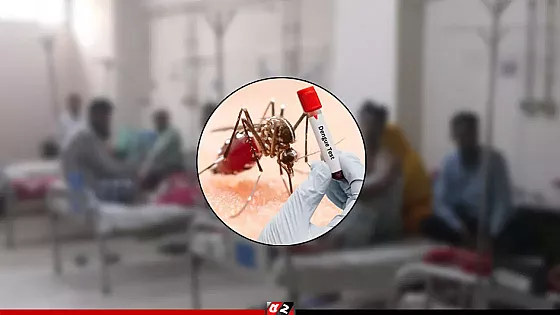 ডেঙ্গুতে আরও দুজনের মৃত্যু, হাসপাতালে ৫৬৫