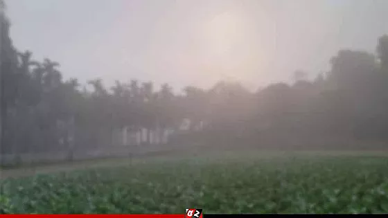 হিমেল হাওয়ায় কুঁকড়ে গেছে কুড়িগ্রাম