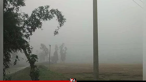 শীতের মৃদু আঁচড়ে কাঁপছে নওগাঁ