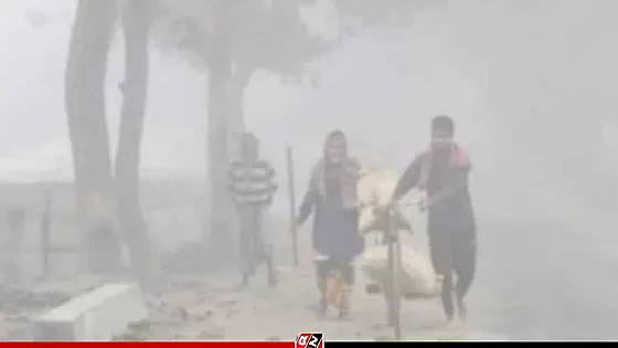 কুয়াশার রাজ্যে ডুবে আছে কুড়িগ্রাম, হিমেল ছোবলে কাঁপছে জনজীবন