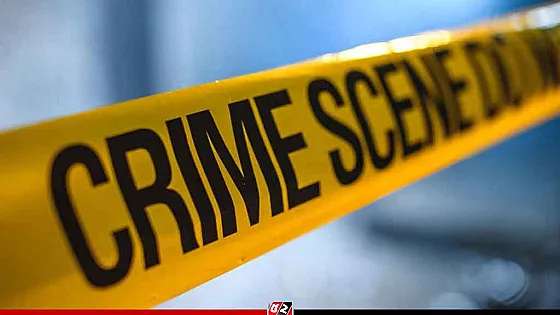 মোহাম্মদপুরে মা–মেয়েকে হত্যা, গৃহকর্মী পলাতক