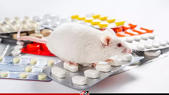 ইঁদুর মারার ট্যাবলেট খেয়ে দুই বিয়াইয়ের মৃত্যু