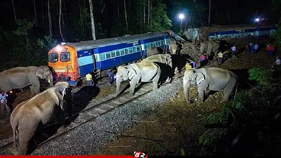 ট্রেনের ধাক্কায় ৮ হাতির মৃত্যু, লাইনচ্যুত ৫ বগি