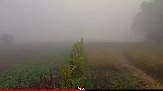 শীতে জমে গেছে পঞ্চগড়