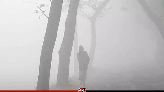 কুয়াশার চাদরে বন্দী কুড়িগ্রাম, হিমশীতল শীতে স্থবির জনজীবন