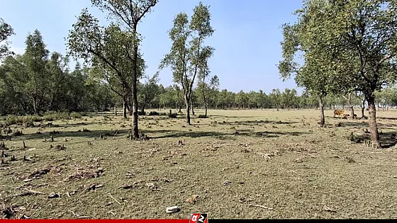 কোপা শামছু বাহিনী প্রধানের লাশ উদ্ধার, চর দখলের ঘটনায় নিহত বেড়ে ৬