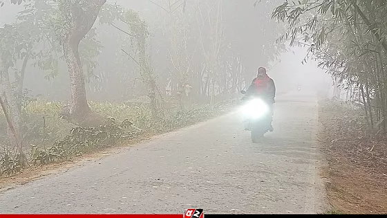 কুড়িগ্রামে ঘন কুয়াশা ও তীব্র শীতে জনজীবন স্থবির, তাপমাত্রা ১১.৪ ডিগ্রি