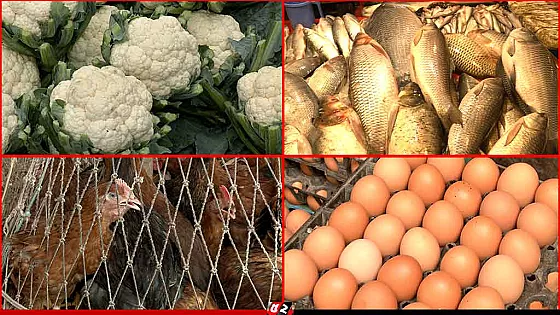 শীতের ছোঁয়ায় কমছে সবজির দাম, বাড়তি মাছ-মাংসের বাজার