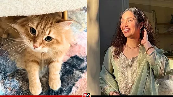 প্রিয় বিড়াল ‍জেবুকে নিয়ে তারেক কন্যার ফেসবুক পোস্ট