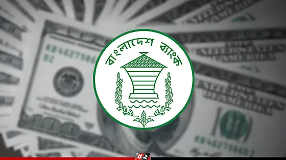 ২৮ দিনে প্রবাসী আয় ৩৬ হাজার কোটি টাকা