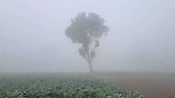 তীব্র শীত জেঁকে বসেছে যশোরে, তাপমাত্র ৮ ডিগ্রি