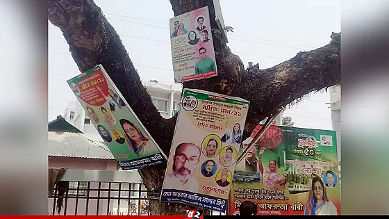 গাছে পেরেক ঠুকলেই জরিমানা, জারি হলো নতুন অধ্যাদেশ