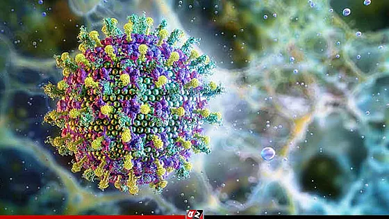 দেশজুড়ে আতঙ্ক ছড়াচ্ছে যে প্রাণঘাতী ভাইরাস