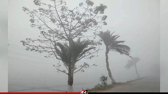 হাড়কাঁপানো শীতে কাঁপছে তেঁতুলিয়া, পারদ নামল ৬ ডিগ্রিতে
