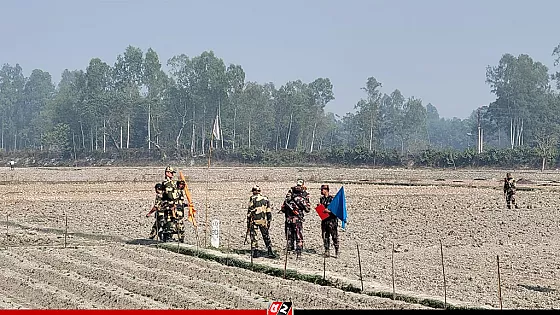 বিজিবির বাধায় সড়ক নির্মাণ বন্ধ করলো বিএসএফ