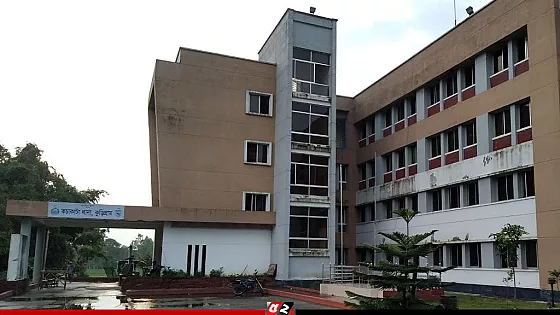 নিজ বাড়ির আঙিনায় গৃহবধূকে গলা কেটে হত্যা