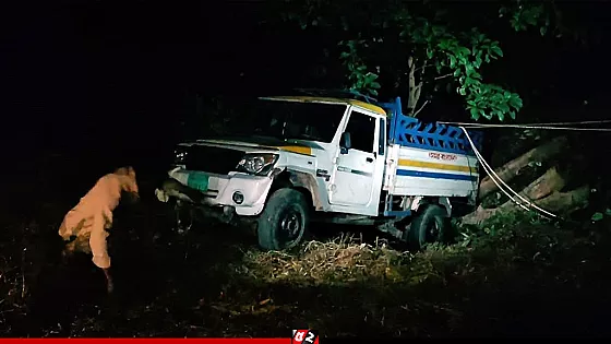 কাঠবোঝাই পিকআপ নিয়ন্ত্রণ হারিয়ে খাদে, নিহত ২