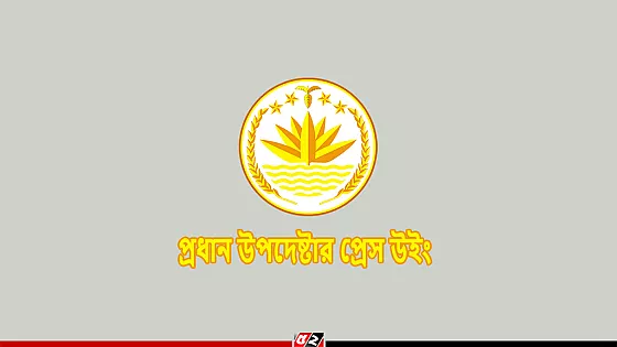 কেন ‘হ্যাঁ’ ভোটের পক্ষে অন্তর্বর্তী সরকার: ব্যাখ্যা দিল প্রেস উইং   