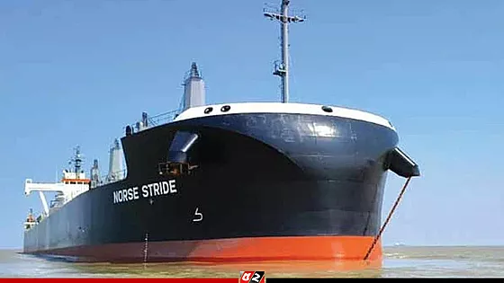 যুক্তরাষ্ট্র থেকে এসেছে ৫৮ হাজার টন গম