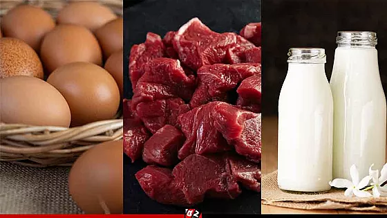 রমজানে সুলভ মূল্যে দুধ-ডিম-মাংস বিক্রি করবে সরকার