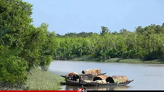 সুন্দরবনের জেলেপল্লীতে বনদস্যুদের হানা, ৬ জেলেকে অপহরণ