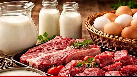 রমজানে ১০ লাখ পরিবারকে স্বল্পমূল্যে দুধ-ডিম ও মাংস দেবে সরকার 