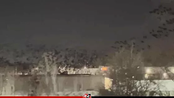 হাজার হাজার কালো কাকে ছেয়ে গেছে তেল আবিবের আকাশ, আতঙ্কে ইসরাইলিরা