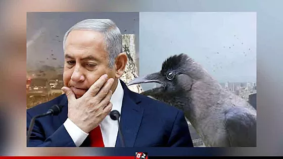 হাজার হাজার কালো কাকে ছেয়ে গেছে তেল আবিবের আকাশ, আতঙ্কে ইসরাইলিরা