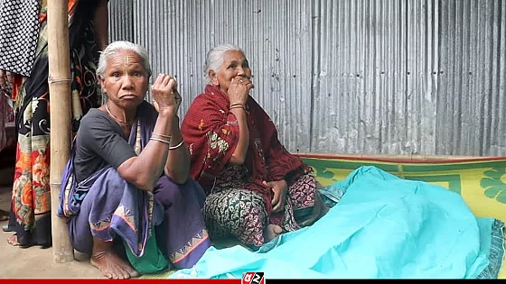 ঝড়ে গাছ  চাপা পড়ে বৃদ্ধার মৃত্যু