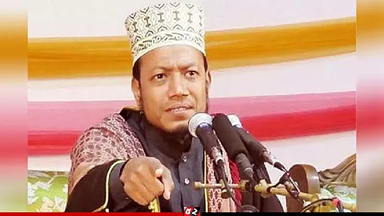 বিদ্যুৎ মন্ত্রীকে নিয়ে আপত্তিকর মন্তব্য,  আমির হামজার বিরুদ্ধে মামলার আবেদন