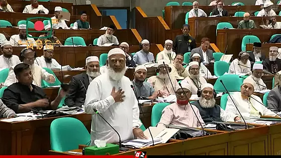 জুলাই জাদুঘর অধ্যাদেশ বিতর্ক, বিরোধী দলের ওয়াকআউট