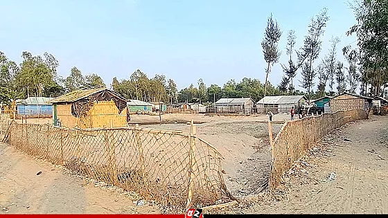 কক্সবাজারে ঝাউবাগান উজাড় করে প্লট বাণিজ্যের অভিযোগ