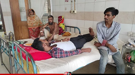 বিএনপি নেতার হামলায় স্বেচ্ছাসেবক দল নেতা আহত