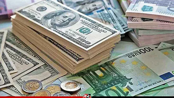 ২০ দিনে রেমিট্যান্স এসেছে ২২১ কোটি ডলার   