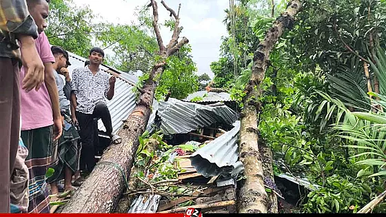 কালবৈশাখীর তাণ্ডবে গাছচাপায় মা ও দুই মেয়ের মৃত্যু