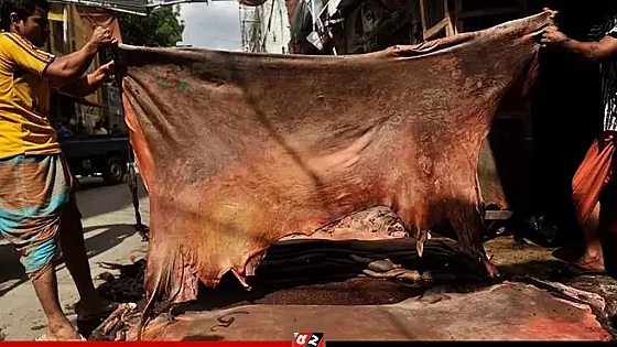 কোরবানির পশুর চামড়ার নতুন দাম ঘোষণা