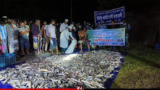 নিষেধাজ্ঞা না মেনে মাছ শিকার, ৪০০ কেজি মাছ জব্দ