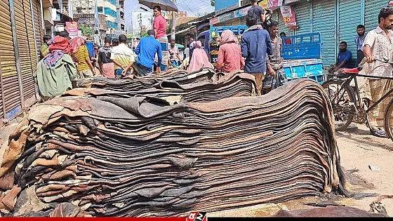 কোরবানির চামড়া সংরক্ষণে ঋণ সুবিধা, নিরবচ্ছিন্ন বিদ্যুৎ ও বিনামূল্যে লবণ দেবে সরকার 