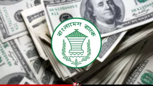 ১৯ দিনে দেশে এলো ২৪৮ কোটি ডলারের বেশি রেমিট্যান্স